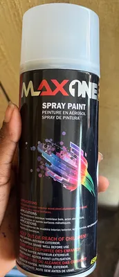 MAXIONE SPRAY PAINT 